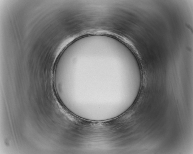 X0000101421231200807071023