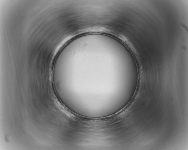X0000101421232200807071023