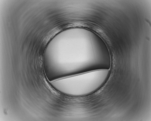X0000101421233200807071023