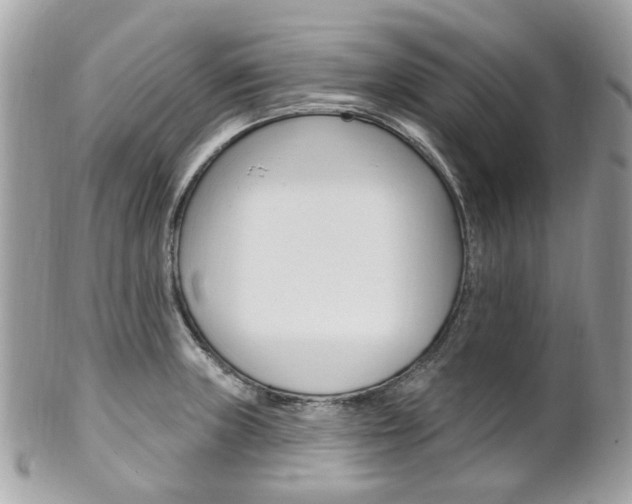 X0000101421235200807071023