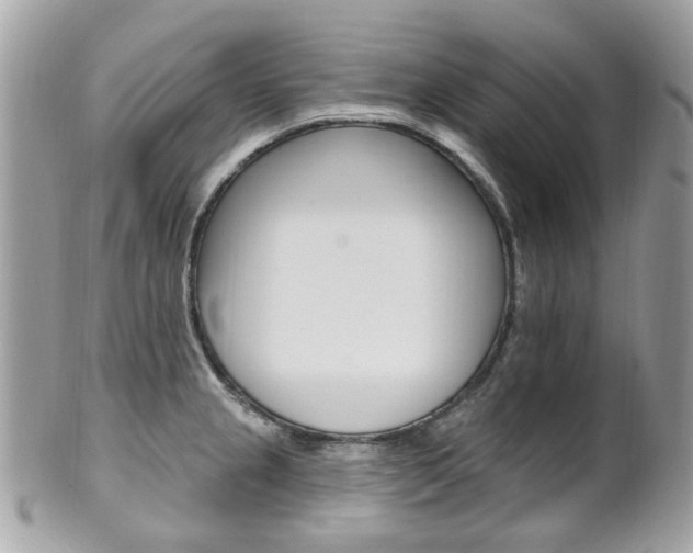 X0000101421237200807071023