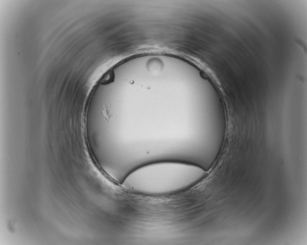 X0000101421239200807071023