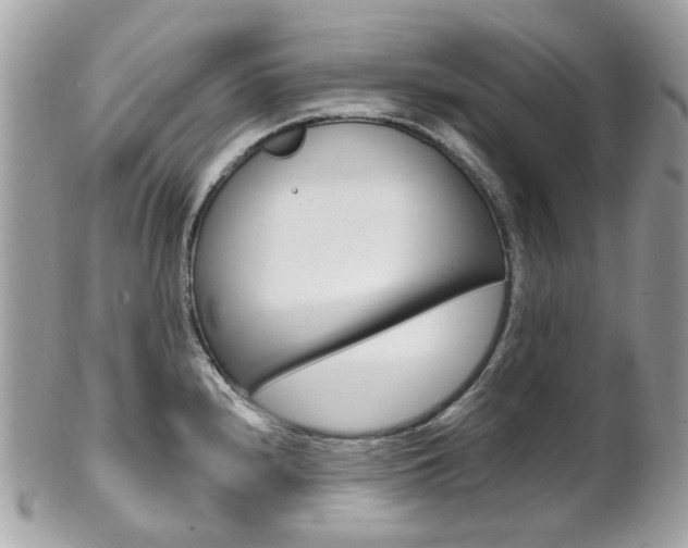 X0000101421240200807071023