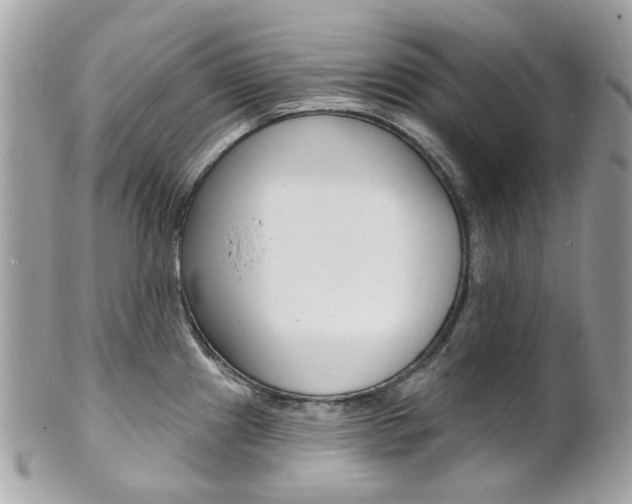 X0000101421241200807071023