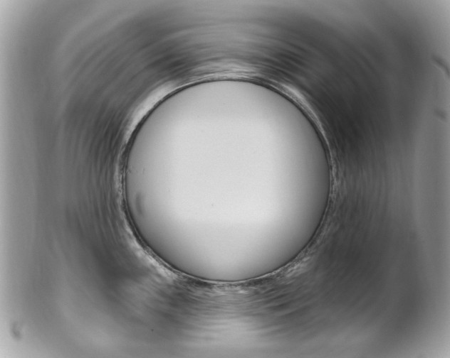 X0000101421243200807071023