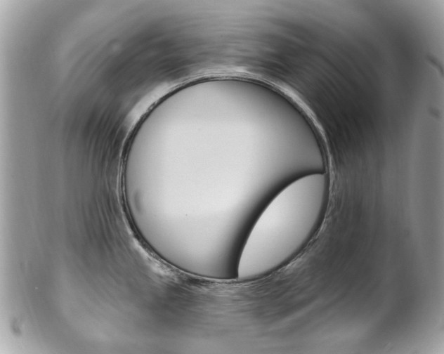 X0000101421245200807071023