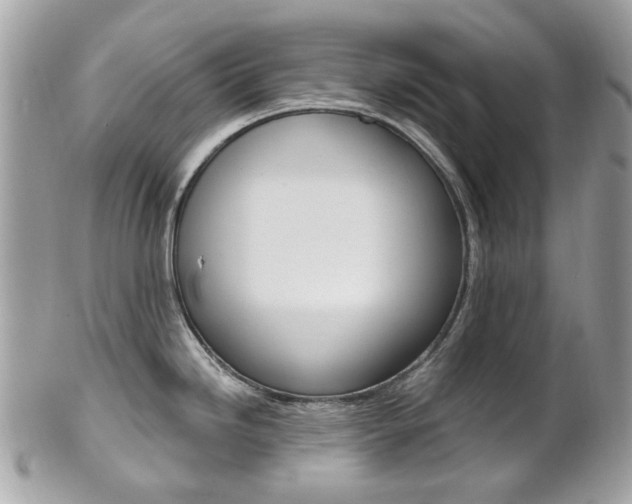 X0000101421246200807071023