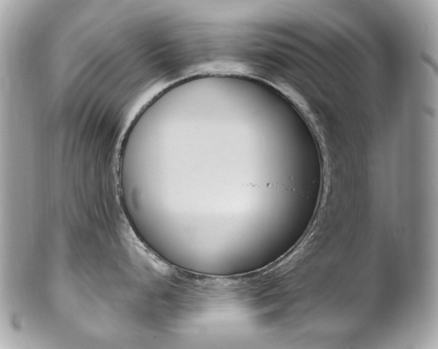X0000101421248200807071023