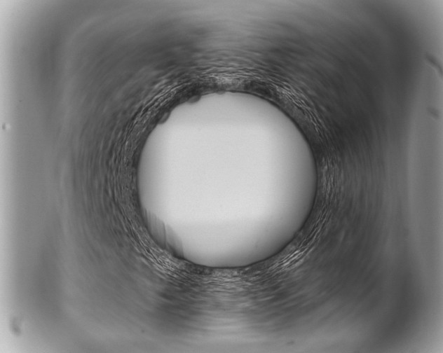 X0000101421249200807071022