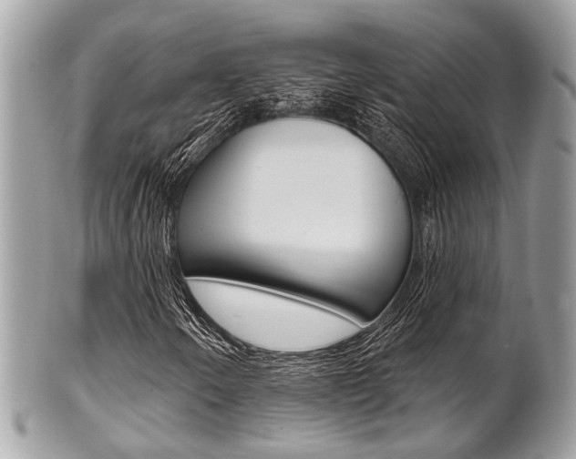 X0000101421250200807071022