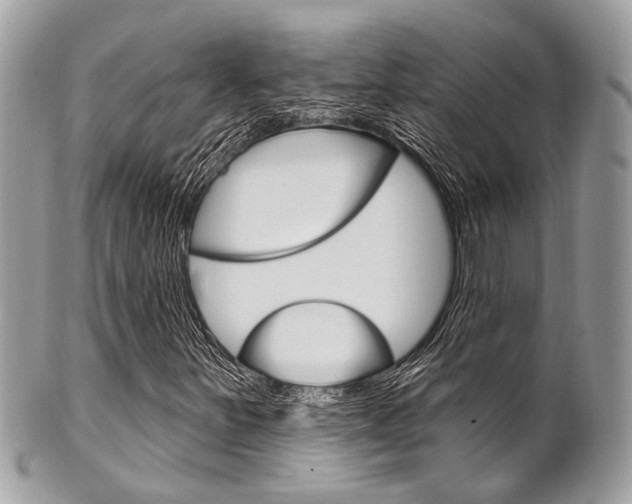 X0000101421251200807071022