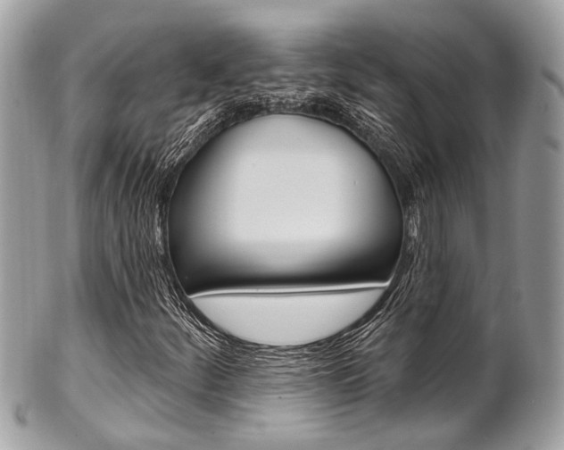 X0000101421252200807071022