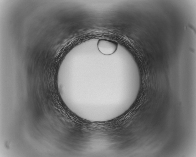 X0000101421253200807071022