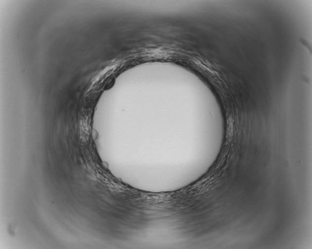 X0000101421254200807071022
