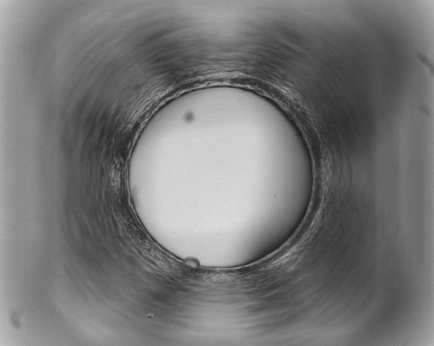 X0000101421257200807071022