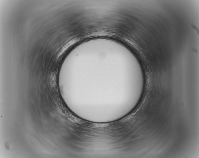 X0000101421258200807071022