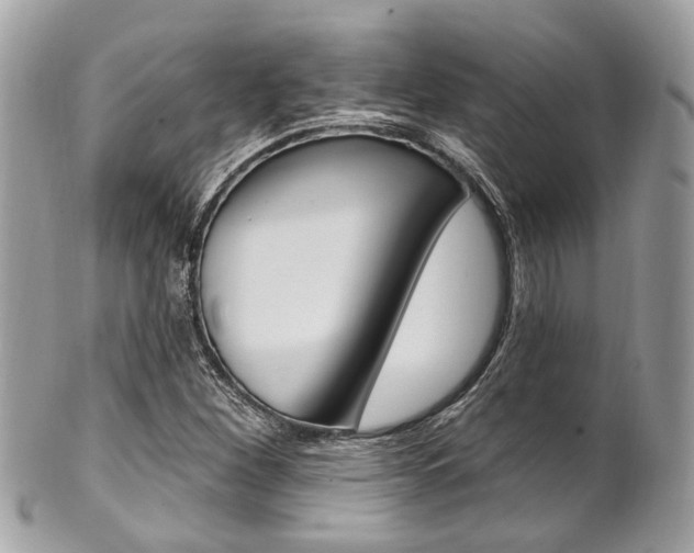 X0000101421260200807071022