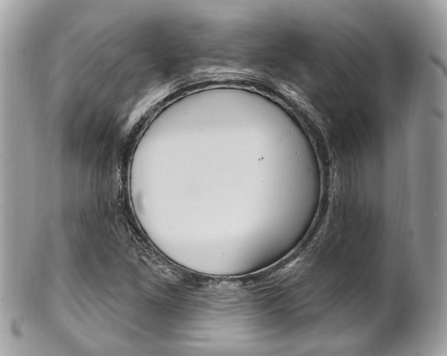 X0000101421261200807071022