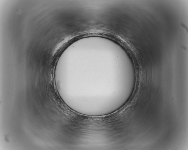 X0000101421262200807071022