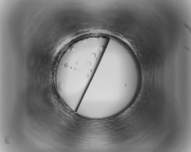 X0000101421263200807071022