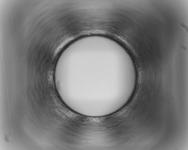 X0000101421266200807071022