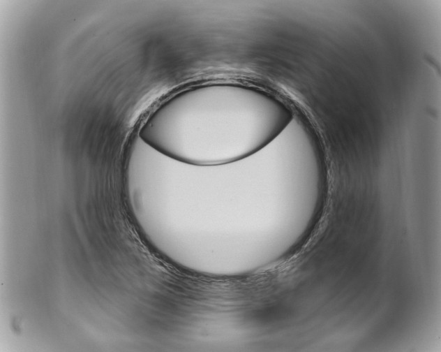 X0000101421267200807071022