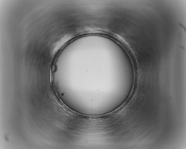 X0000101421269200807071022