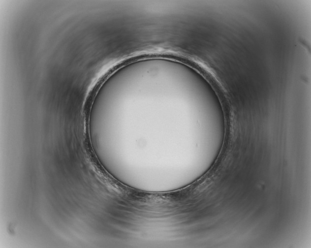 X0000101421270200807071022