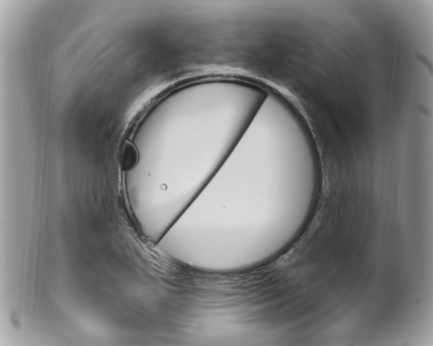 X0000101421271200807071022