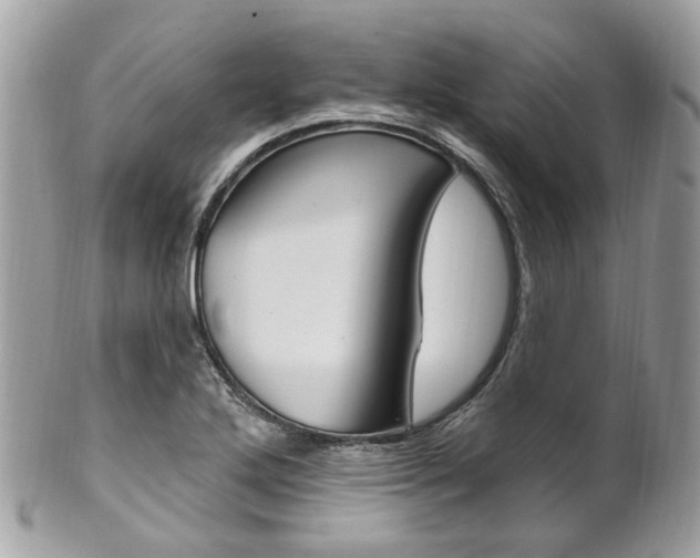 X0000101421272200807071022