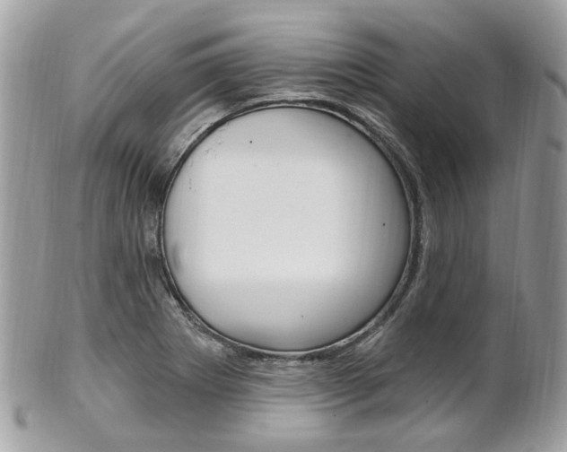 X0000101421273200807071022