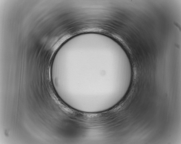 X0000101421274200807071022