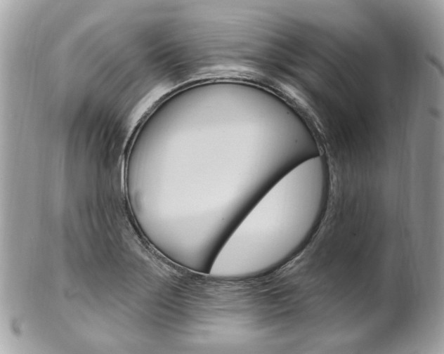 X0000101421275200807071022