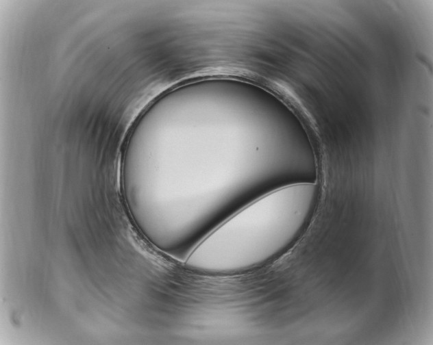 X0000101421276200807071022