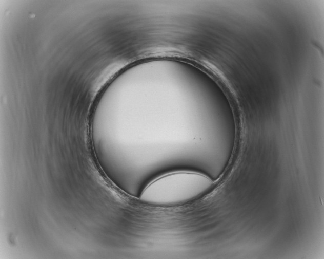X0000101421277200807071022