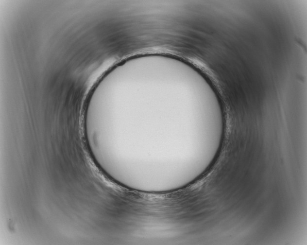 X0000101421278200807071022