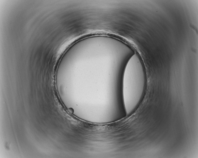 X0000101421279200807071022