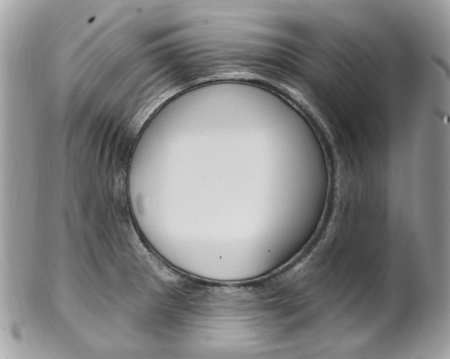 X0000101421281200807071022