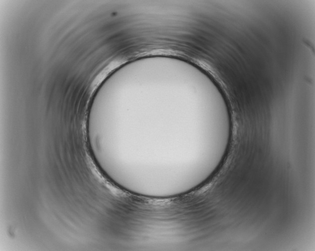 X0000101421282200807071022