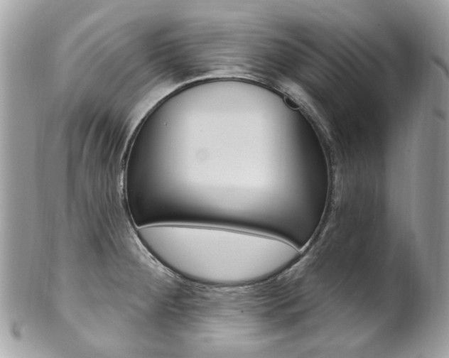 X0000101421284200807071022