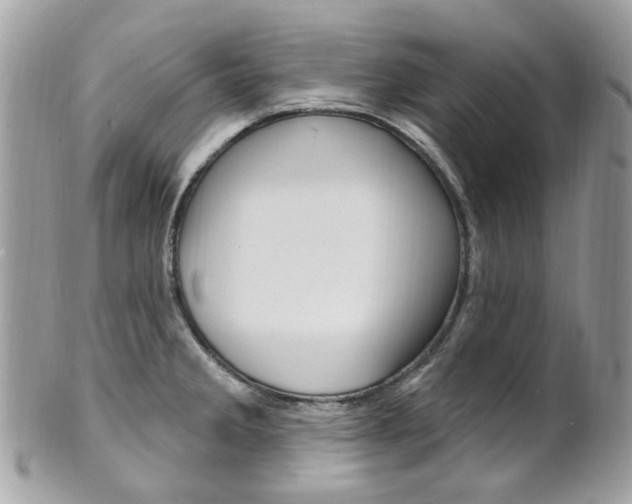 X0000101421285200807071022