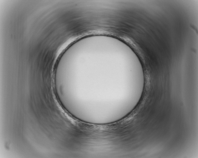 X0000101421286200807071022