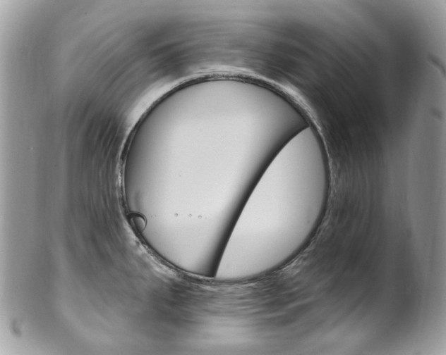 X0000101421287200807071022