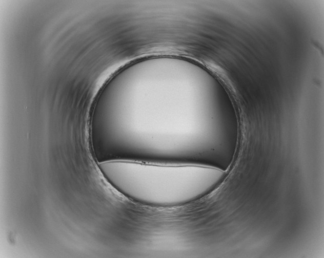 X0000101421288200807071022