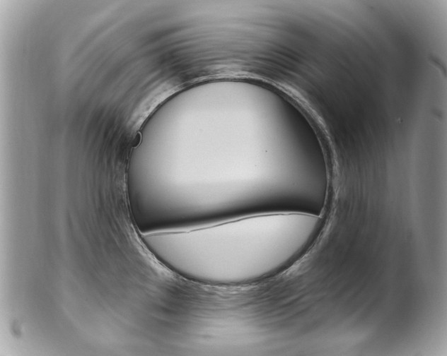 X0000101421289200807071022