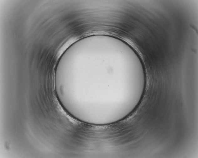 X0000101421290200807071022