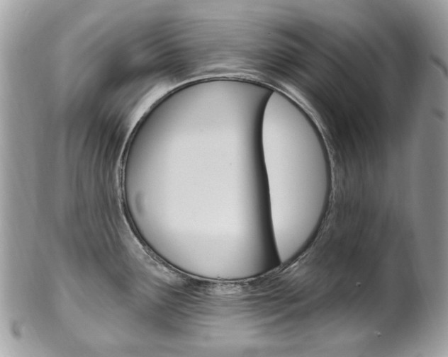X0000101421291200807071022