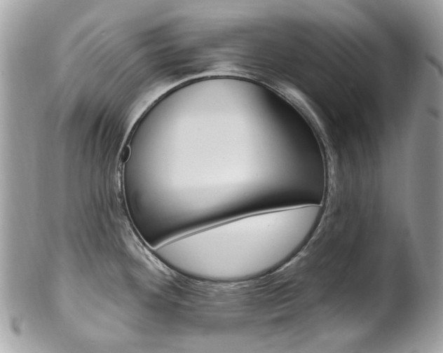 X0000101421292200807071022