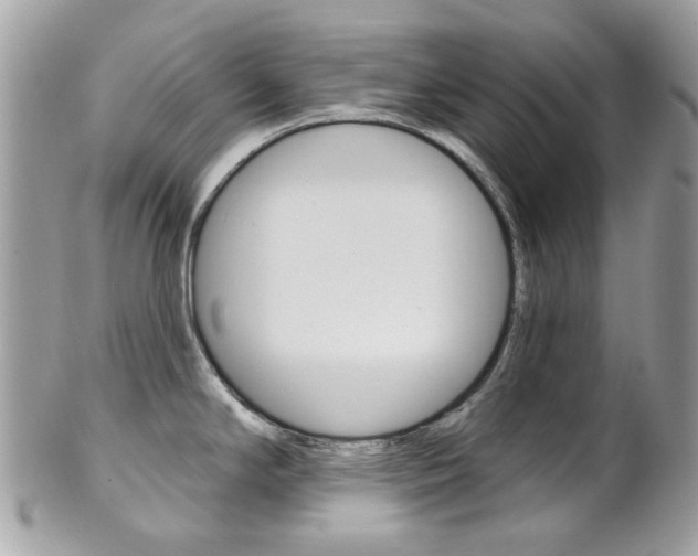 X0000101421294200807071022