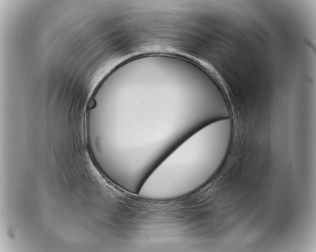 X0000101421295200807071022